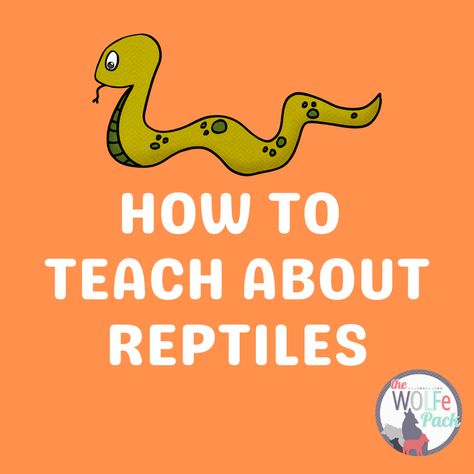 A carefully curated board with ideas on how to teach about REPTILES. Includes books, resources, STEM activities, art projects, printables, freebies and more! Reptile Crafts, Printables Freebies, Reptiles And Amphibians, Stem Activities, Amphibians, Reptiles, Art Projects, Books, Art