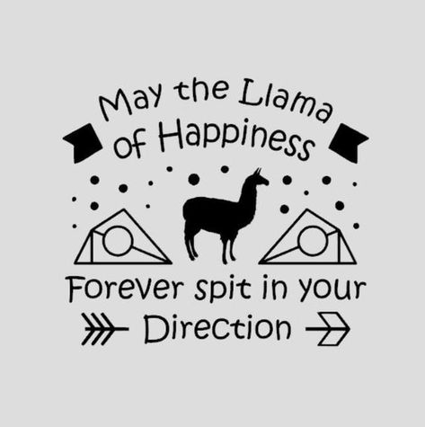 Funny Llama Pictures, Llama Quote, Llama Pictures, Family Wall Decals, Funny Llama, Animal Puns, Llama Drama, Quotes About Motherhood, Wall Quotes Decals