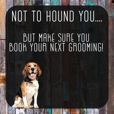 Grooming Advertising Ideas, Dog Grooming Room, Groomer Quotes, Funny Dog Grooming Quotes, Dog Grooming Quotes, Dog Grooming Signs Business, Dog Groomer Quotes, Grooming Quotes, Groom Room