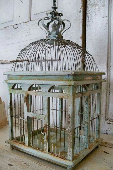 Birdcage Planter, Antique Bird Cages, Bird Cage Decor, Vintage Bird Cage, Wood Bird, Metal Birds, Bird Cages, French Country House, Bird Decor