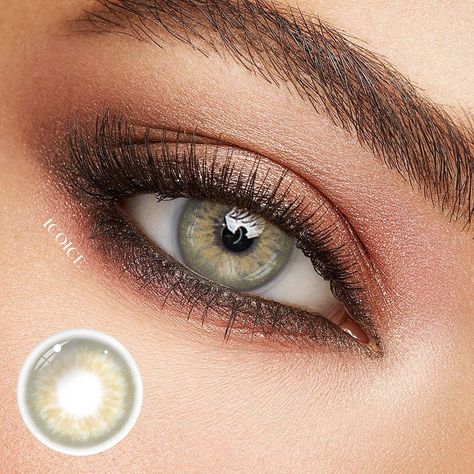 ICOICE DNA Taylor Brown Hazel | 1 Year Contact Lenses For Brown Eyes, Eye Color Chart, Mushroom Hair, Soft Lens, Diy Eyelash Extensions, Colored Contact Lenses, Circle Lenses, Lens Case, Contact Lenses Colored