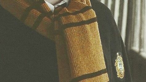 Harry Potter Fanları, Teddy Lupin, Hufflepuff Aesthetic, Hufflepuff Pride, Hufflepuff House, Harry Potter Hufflepuff, Images Harry Potter, Harry Potter Houses, Hogwarts Aesthetic