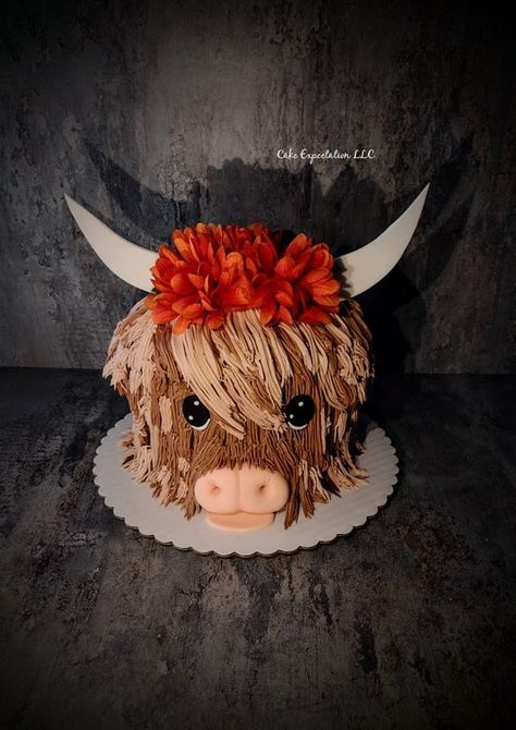 Highland Cow Cake Cow Bridal Shower Cake, Highlander Cupcakes, Fluffy Cow Cake, Highland Cake, Cow Birthday Cakes, Highland Cow Smash Cake, Highland Cow Cake Tutorial, Hyland Cow Cake, Highland Cow First Birthday Party