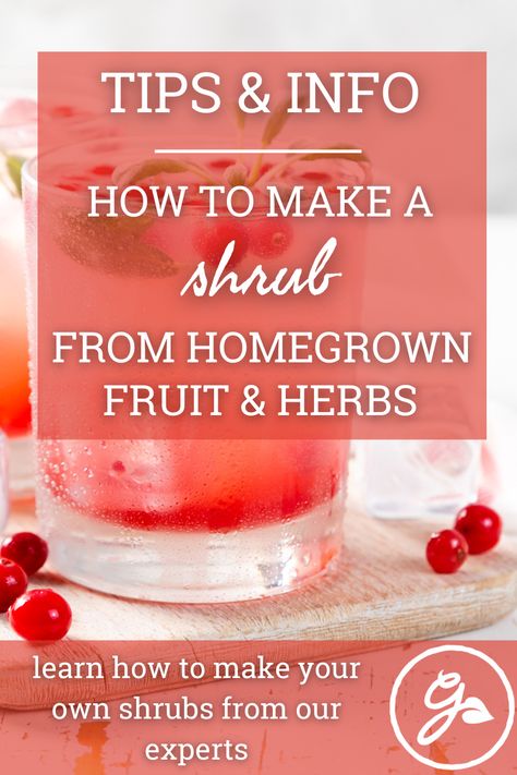 Shrub Recipes How To Make, Fruit Shrub Recipes, Shrub Cocktail Recipes, Shrub Drink Recipes, Shrubs Recipe, Fruit Shrubs, Shrub Drink, Fruit Shrub, Shrub Recipe