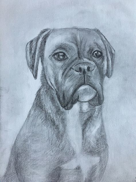 Pencil drawing boxer dog Boxer Drawing Easy, Drawing Ideas Dog, Boxer Dog Drawing, Pit Bull Drawing, Bull Drawing, Dog Drawing Tutorial, Drawing Cool, Boxer Dogs Art, Animal Drawings Sketches