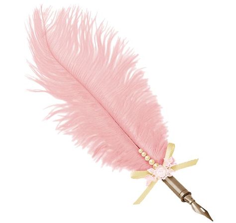 Feather Quill Pen, Dolores Umbridge, Welcome To Hogwarts, Fancy Pens, Feather Quill, Pink Pens, Feather Pen, Png Aesthetic, Hair Png