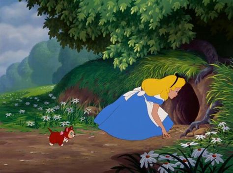 Alice in wonderland Alice In Wonderland Rabbit, Alice In Wonderland 1951, Alice In Wonderland Aesthetic, Disney Version, Alice Liddell, Disney Cats, White Rabbits, Down The Rabbit Hole, The Rabbit Hole