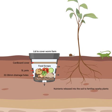 In Ground Vermicomposting, Compost With Worms, In Ground Worm Compost, In Ground Composting, In Ground Compost, Community Compost, Worm Farm Diy, Compost Mulch, Living Off Grid