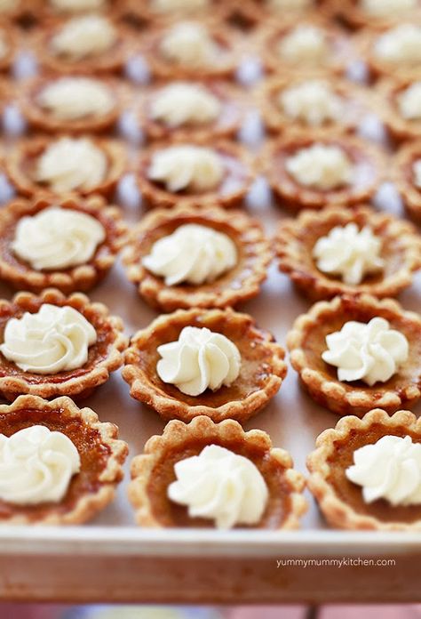 Yummy Mummy Kitchen: Mini Pumpkin Pie Recipe Mini Pumpkin Pie Recipe, Mini Pumpkin Pies Recipe, Pies Chocolate, Mini Pumpkin Pie, Pies Recipes, Mini Pie, Mini Pumpkin Pies, Pie Pumpkin, Pumpkin Pie Recipe