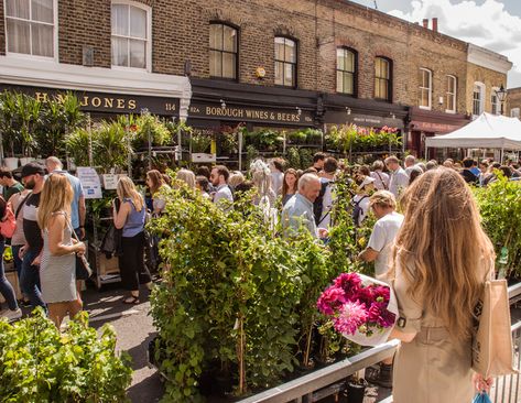 Visiting Columbia Road Flower Market Flower Market London, Best Markets In London, 2nd Semester, Columbia Road Flower Market, Columbia Road, London Dreams, London Summer, London Aesthetic, Fallen London