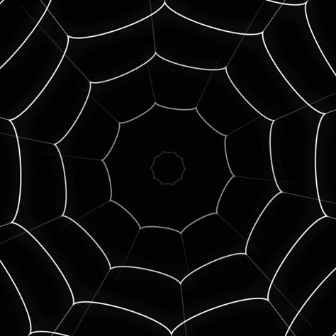 Spider Gif Banner, Spider Noir Gif, Red Spider Web Wallpaper, Black Spider Web Wallpaper, Spider Web Transparent Background, Spider Web Black Background, Spiderman Gif, Animated Spider, Loop Gif