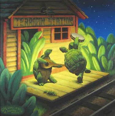 Turtle Gif, Grateful Dead Wallpaper, Terrapin Station, Grateful Deadhead, Bob Weir, Fairytale Stories, Dead And Company, Touch Of Gray, Terrapin