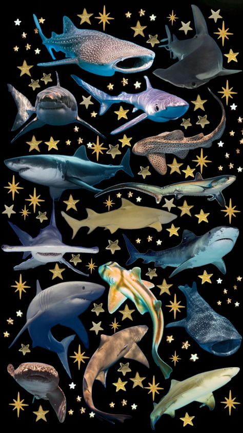 Shark Pattern Wallpaper, Dark Shark Wallpaper, Halloween Shark Wallpaper, Shark Collage Wallpaper, Aesthetic Shark Pictures, Sea Life Pattern, Fish Wallpaper Iphone Aesthetic, Sea Animal Wallpaper, Shark Phone Wallpaper