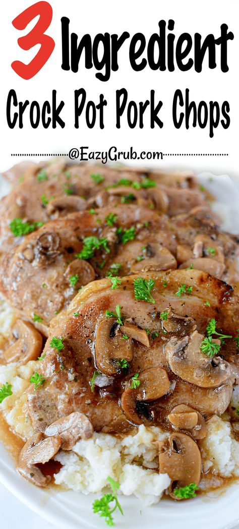 Let the slow cooker do all the work on this 3 Ingredient Crock Pot Pork Chops recipe. It takes less than 5 minutes to put together, and then at the end of a busy day, you dinner is waiting for you. Served with mashed potatoes to hold all that scrumptious gravy, this is the best comfort food ever. This pork chop recipe is so versatile, the mushrooms are optional! Crock Pot Pork Chops, Pork Crock, Crock Meals, Crock Pot Pork, Pork Chop Recipes Crockpot, Pork Chops And Gravy, Pork Chop Recipes Baked, Easy Pork Chop Recipes, Crockpot Pork Chops