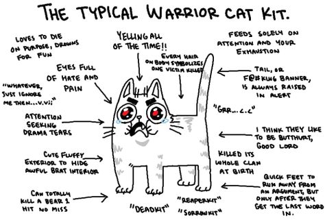 Warriors Oc Ideas, Warrior Cats Oc Ideas, Warrior Cats Oc, Warriors Oc, Warriors Memes, Warrior Cat Names, Warrior Cats Funny, Warrior Cat Memes, Warrior Cats Comics