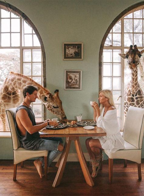 Lauren Bullen, Instagram Couples, Africa Do Sul, Charcoal Drawings, Beautiful Hotels, Royal Caribbean, Honeymoon Destinations, Travel Instagram, Giraffes