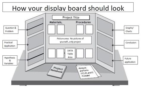 Display Boards For School Projects, Trifold Science Board Ideas, How To Make A Science Fair Display Board, Tri Fold Poster Board Ideas College, Trifold Poster Board Ideas College, How To Make Your Poster Stand Out, Tri Folder Board Ideas, History Fair Projects Ideas, Tri Fold Poster Board Ideas Kids