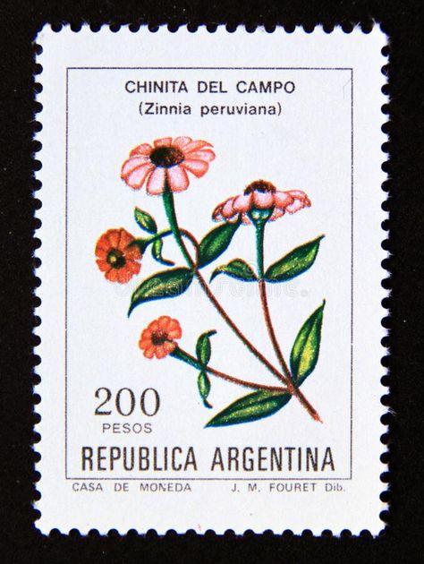 Postage stamp Argentina, 1982. Chinita del campo Zinnia peruviana flowe royalty free stock photos Zinnia Tattoo Ideas, Zinnia Flowers Tattoo, Argentina Tattoo Ideas, Zinnia Tattoo, Flower Editorial, Tatuaje Studio Ghibli, Argentina Art, Zinnia Flowers, Stamp Printing