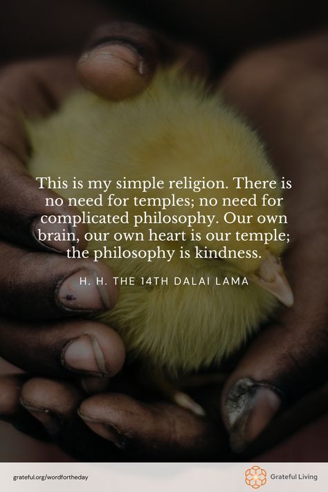 "This is my simple religion. There is no need for temples; no need for complicated philosophy. Our own brain, our own heart is our temple; the philosophy is kindness." -H. H. the 14th Dalai Lama  📷: Aamir Mohd Khan  #WordForTheDay #GratefulLiving #Gratitude #Gratefulness #Grateful #Quote #Quotes #DailyQuote #QuoteOfTheDay #GratitudePractice #GratitudeDaily Lama Quotes, Dalai Lama Quotes, 14th Dalai Lama, Practice Gratitude, Dalai Lama, Big Heart, Daily Quotes, Quote Of The Day, Gratitude