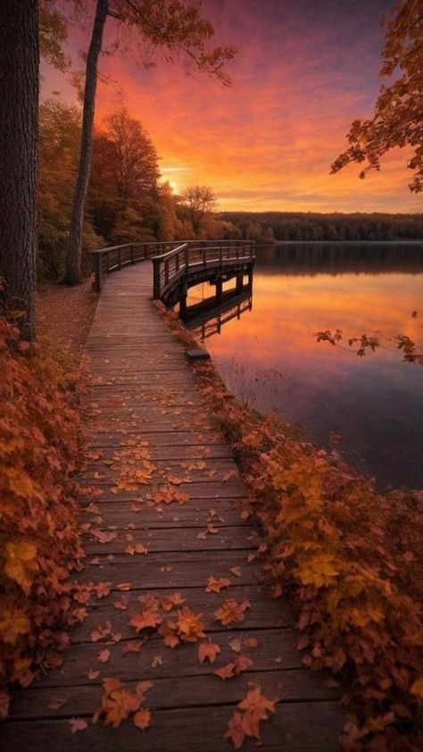 Wallpaper Cantik, Scenery Photography, Fall Background, Amazing Nature Photography, Pretty Landscapes, Autumn Scenes, Amazing Nature Photos, Autumn Scenery, Beautiful Landscape Wallpaper