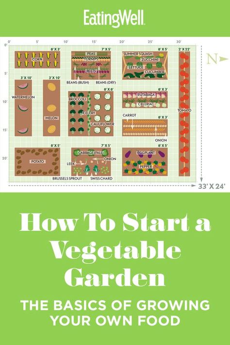 Making A Vegetable Garden, Garden Plan Vegetables, How To Plan Your Garden, Plan Vegetable Garden, Growing Your Own Vegetables, Basic Vegetable Garden, Garden List Vegetable, Planning A Vegetable Garden Layout, Best Garden Layout For Beginners