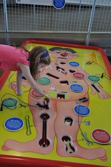 Cool Preschool Creative Art, Scout Games, Operation Game, Indoor Playroom, Health Fair, Children Park, Kid Friendly Activities, Childrens Museum, Science Museum