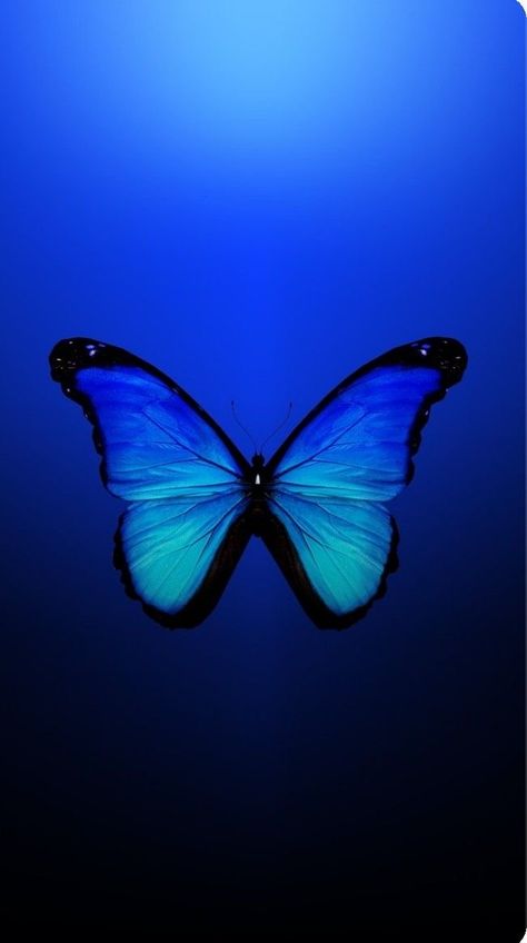 D Wallpaper Letter Cute, Blue Aesthetic Dark, Blue Butterfly Wallpaper, Butterfly Quotes, Cute Blue Wallpaper, Butterfly Wallpaper Backgrounds, Wallpaper Iphone Neon, Trending Pins, Cool Wallpapers For Phones