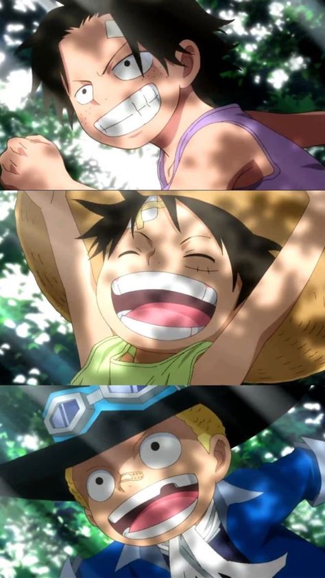 One Piece Wallpaper Ace, One Piece Fairy Tail, One Piece Wallpaper, Sabo One Piece, Ace Sabo Luffy, رورونوا زورو, Ace And Luffy, One Piece Meme, One Piece Wallpaper Iphone