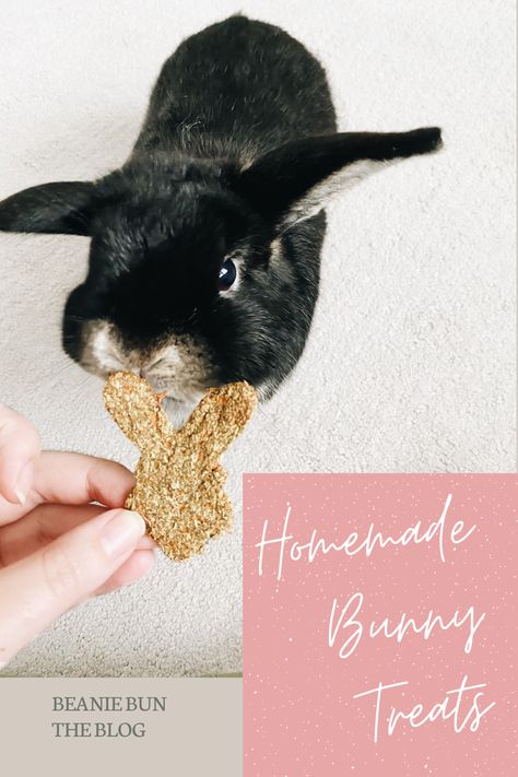 How To Make Bunny Treats, Homemade Treats For Bunnies, Homemade Rabbit Treats Recipes, Treats For Rabbits Diy, How To Make Rabbit Treats, Homemade Treats For Rabbits, Diy Rabbit Treats Homemade, Home Made Bunny Treats, Treats For Bunnies