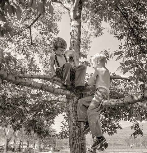 July 1942. Klamath Falls, Oregon. "Boys in city park on a Sunday afternoon." Photo by Russell Lee for the Office of War Information.  Shorpy Historic Picture Archive Poster Art Vintage, Klamath Falls Oregon, Kids Climbing, Klamath Falls, Climb Trees, City Park, Photo Vintage, Sunday Afternoon, High Resolution Photos