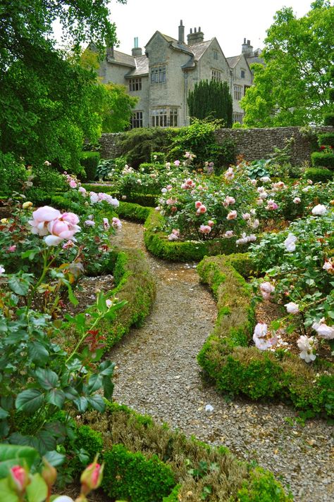 In the Garden | ZsaZsa Bellagio - Like No Other Longwood Gardens, Formal Gardens, The Secret Garden, Gorgeous Gardens, Garden Cottage, Country Gardening, English Garden, Rose Garden, Shade Garden