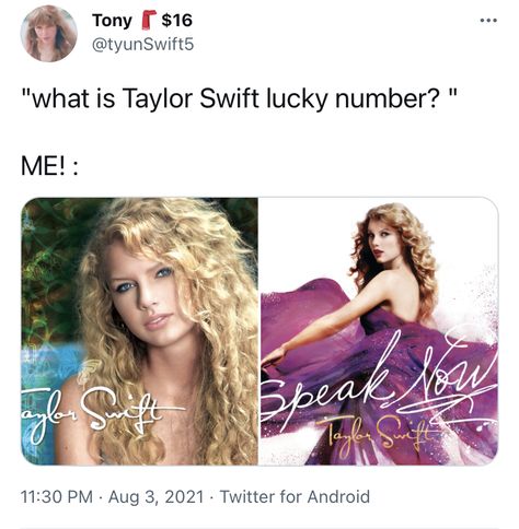 T Swizzle, Taylor Funny, I Think He Knows, Taylor Swift 1989 Tour, Taylor Memes, Taylor Swift Fan Club, Taylor Swift New, Swift Photo, Taylor Swift Funny