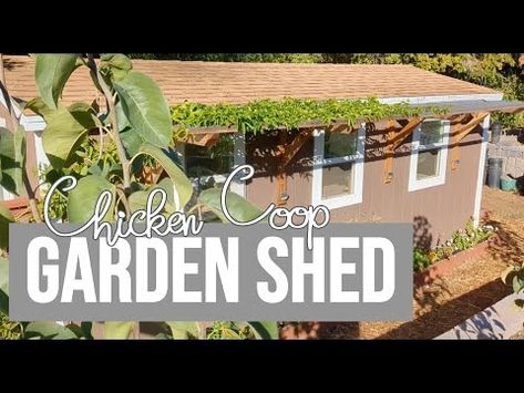 Garden Shed and Chicken Coop Under One Roof - How I planned and built my suburban barn - YouTube Chicken Coop Add On To Shed, Transform Shed Into Chicken Coop, How To Convert A Shed Into A Chicken Coop, Chicken Coop Metal Roof, Shed Roof Chicken Coop, Edible Front Yard, Chicken Garden, Chicken Coop Designs, Under One Roof