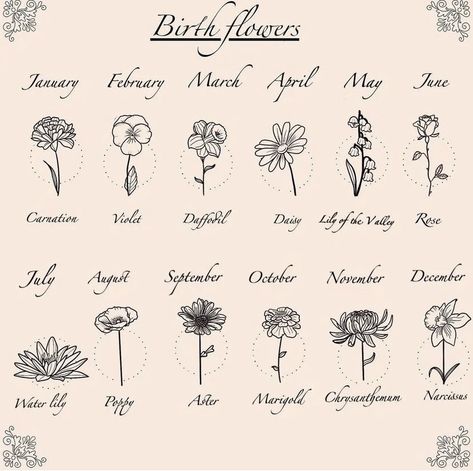 Aquarius Birth Flower, Astrology Elements, Virgo Flower, Beautiful Love Quotes, Ink Drawings, Month Flowers, Birth Month Flowers, Ink Pen Drawings, Birth Month