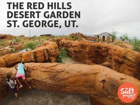 The Red Hills Desert Garden | St. George | The Salt Project | Things to do in Utah with kids Utah Christmas, Rv Roadtrip, Utah With Kids, Traveling Goals, Roadtrip Ideas, Things To Do In Utah, Van Travel, Utah Vacation, Utah Adventures