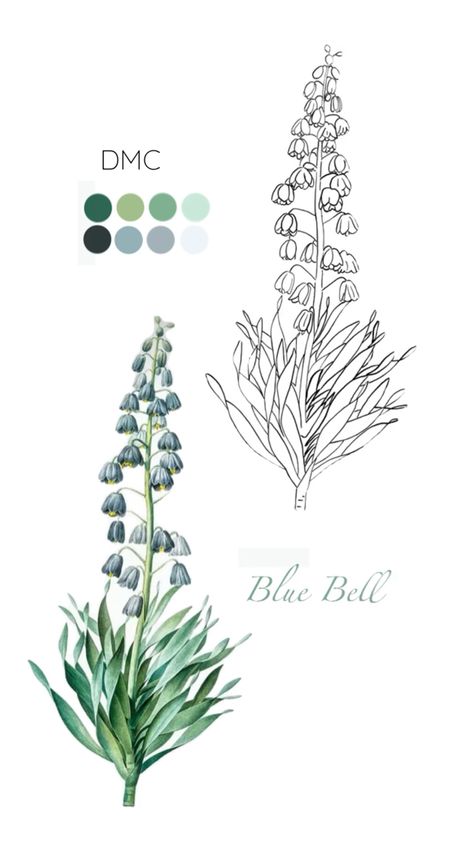 Embrace the beauty of nature with this charming Blue Bell embroidery pattern. Featuring a serene color palette using DMC threads, this design is perfect for textile artists looking to add a touch of floral elegance to their projects. Ideal for beginners and experienced stitchers alike. #EmbroideryPattern #BlueBell #TextileArt #DMCThreads #FloralEmbroidery #CreativeStitching Blue Bell, Dmc Thread, Textile Artists, Embroidery Pattern, Textile Art, Floral Embroidery, Embroidery Patterns, The Beauty, Color Palette