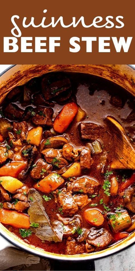 Guiness Stew Instapot, Guiness Stew Recipes, Guiness Beef Stew Recipe, Irish Guinness Beef Stew, Guinness Beef Stew Slow Cooker, Thick Beef Stew, Diethood Recipes, Ground Beef Stew, Beef Stew With Beer