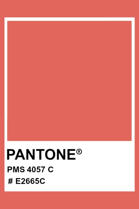 PANTONE 4057 C #pantone #color #PMS #hex Colour Pantone, Red Branding, David Zyla, Pantone Red, Painting Corner, Pantone Matching System, Soft Autumn Color Palette, Pantone Color Chart, Color Pantone