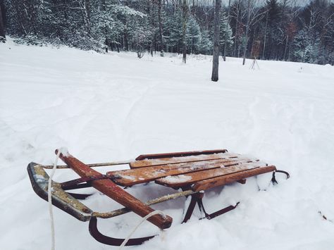 Sled + Snow Sled Aesthetic, Cerberus Aesthetic, Sled Ride, Dotting Art, Mandala Dotting, Snow Sled, Dog Pics, Tin Man, Luge