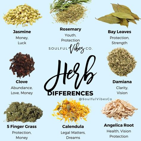 2,013 Likes, 30 Comments - Spiritual Shop (@soulfulvibesco) on Instagram: “What Herb could you use to Manifest with?⁠ Comment below ⬇️⁠ ⁠ ⁠ ⁠ 🚨 We now carry Herbs & Salts 🚨⁠…” Protection Herbs And Spices, Witchy Herbs And Spices, Herbs For Intentions, Spiritual Herbs And Spices, Wicca Herbs And Uses, Herbs To Burn In Your Home, Herbs For Spiritual Bath, Protection Herbs Magick, Herbs For Manifesting