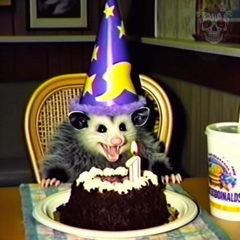 Opossum Birthday, Possum Profile Picture, Raccoon Pfp, Birthday Possum, Possum Party, Possum Birthday, Possum Pfp, Birthday Raccoon, Possum With Hat