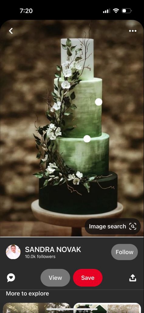 Emerald Wedding Cake, Green Birthday Cakes, Green Wedding Cake, Green Themed Wedding, Emerald Wedding, Gold Wedding Cake, Wedding With Kids, Green Wedding, Gold Wedding