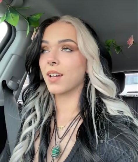 Black And White Hair Underneath, Split Hair Color Brown And Blonde, Skunk Hair Straight, Silver Underlayer Hair, Split Dye Money Piece Hair, Black And Silver Split Dye, Black Hair With Platinum Front Pieces, Black Hair With White Strands, White And Black Hair Color