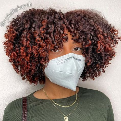 Auburn Pop Ginger Highlights Natural Hair, Spring Hair Color Ideas For Brunettes 2023, Coloring Curly Hair, Auburn Curly Hair, 4a Curls, Hair Colors To Try, Spring Hair Color Trends, Autumn Hair, Wine Hair