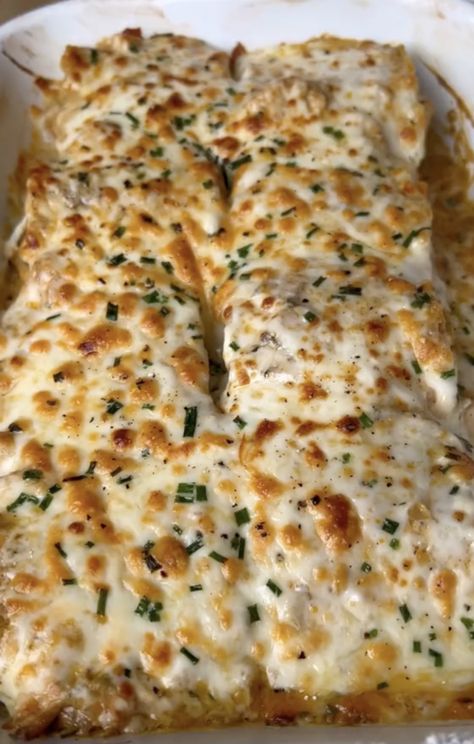 Chicken Alfredo Lasagna Rolls - Nutrient Matters Chicken Alfredo Lasagna, Fried Steak Recipes, Alfredo Lasagna, Seared Fish, Homemade Pasta Recipe, Roasted Jalapeno, 30 Min Meals, Macaroni Recipes, Lasagna Rolls