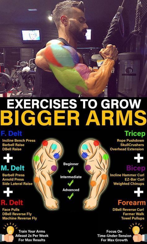 Compound Movements, Fitness Studio Training, Bicep Muscle, Gym Antrenmanları, Gym Workout Chart, Bigger Arms, Trening Fitness, Biceps And Triceps, Muscle Building Workouts