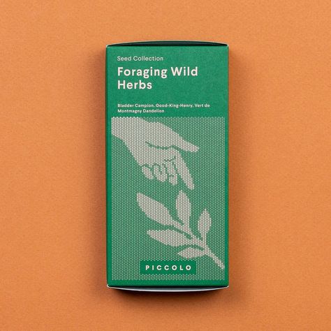 ✅⬆️CLICK THE LINK!!⬆️ Learn how to identify and forage wild herbs with this informative guide from Piccolo Seeds! #foraging #wildherbs . #Nature #Seed_Branding #Green_Packaging_Design #Bladder_Campion