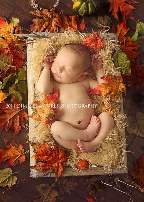 Thanksgiving Photoshoot Baby, Thanksgiving Photoshoot, Thanksgiving Photography, Fall Baby Photos, Thanksgiving Photos, Thanksgiving Pictures, Baby First Halloween, Toddler Photography, Baby Poses