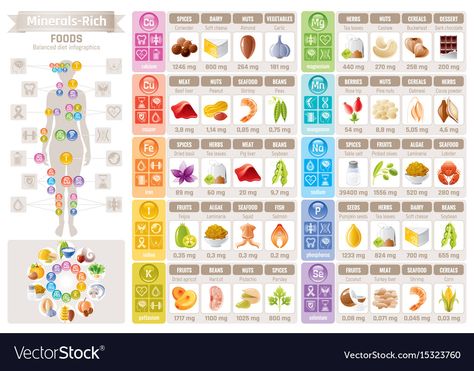 Mineral Chart, Infographic Diagram, Vitamin A Foods, Banner Illustration, Cereal Dessert, Food Charts, Healthy Food List, Diet Vegetarian, Diet Food List