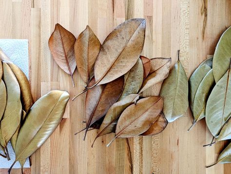 Fall DIY: 6 Easy Steps To Make A Dried Magnolia Wreath Preserve Leaves, Wreath Inside, Magnolia Leaf Wreath, Winter Wreath Diy, Winter Arrangements, Wire Wreath Forms, My Wallet, Brown Leaves, Evergreen Wreath